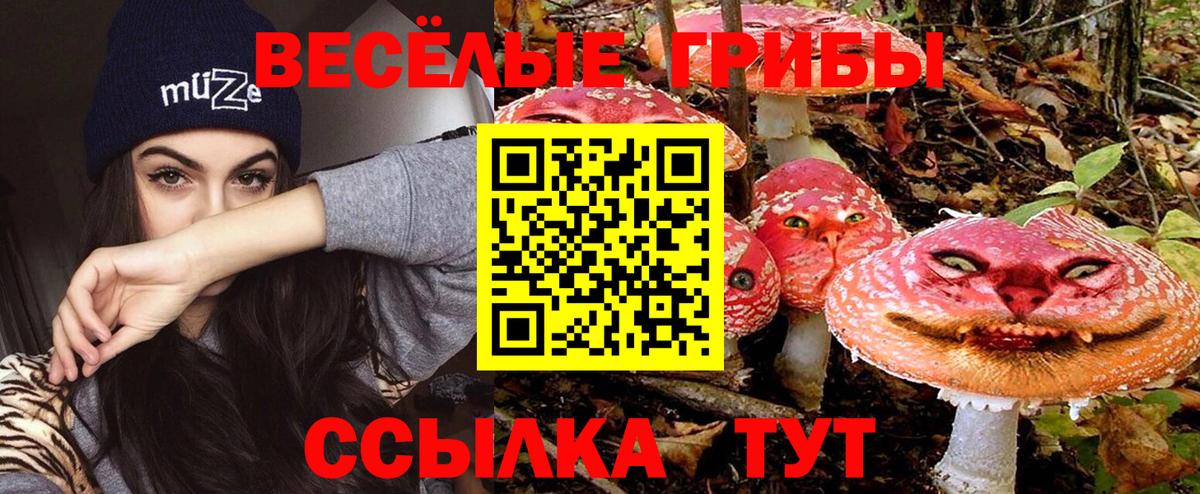 что такое наркотик  Кыштым  Галлюциногенные грибы Cubensis 