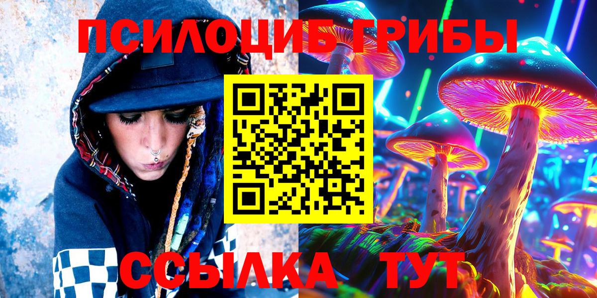 Псилоцибиновые грибы Psilocybe Кыштым